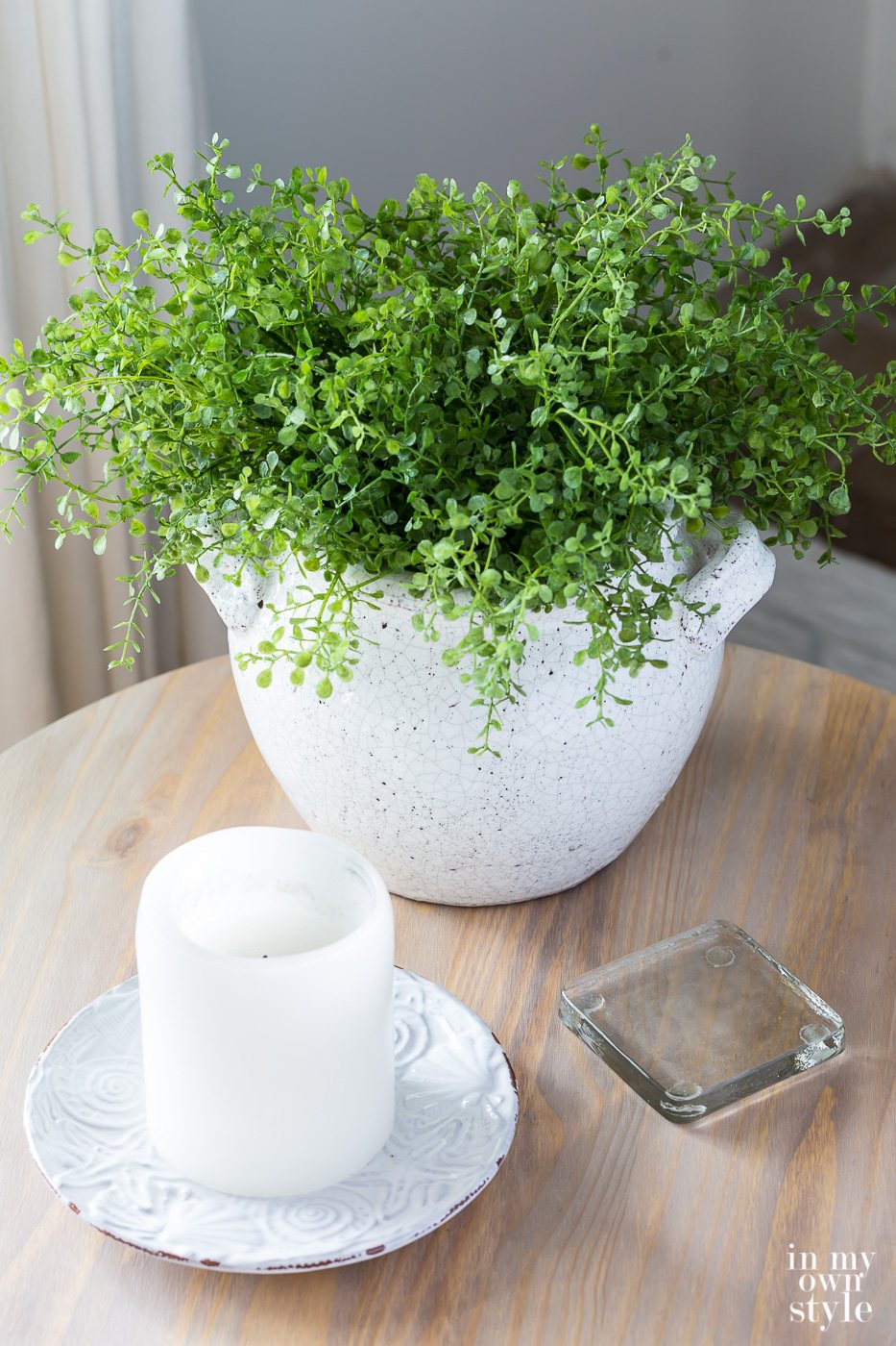 Plant in white planter along with a white candle and clear glass coaster. These items are on a side table in a living room.