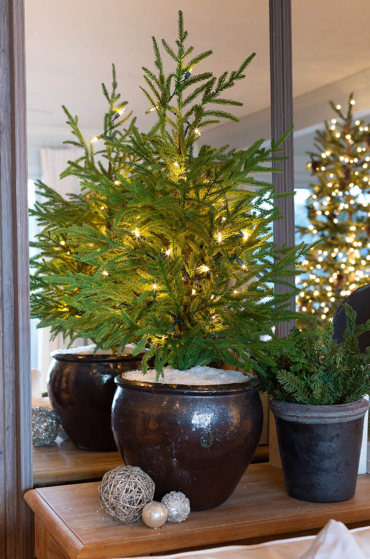 Small pine in planter on console table