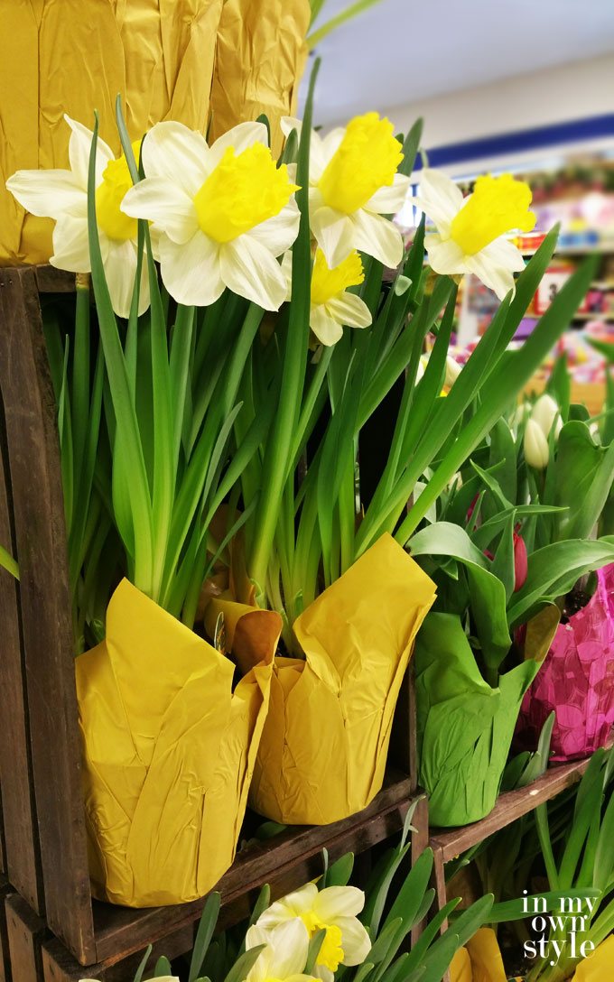 Adding Spring Flowers Around The House Even When You Don’t Have Any