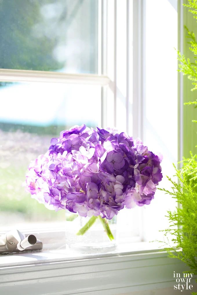 Spray Painted Hydrangeas + Flowers?