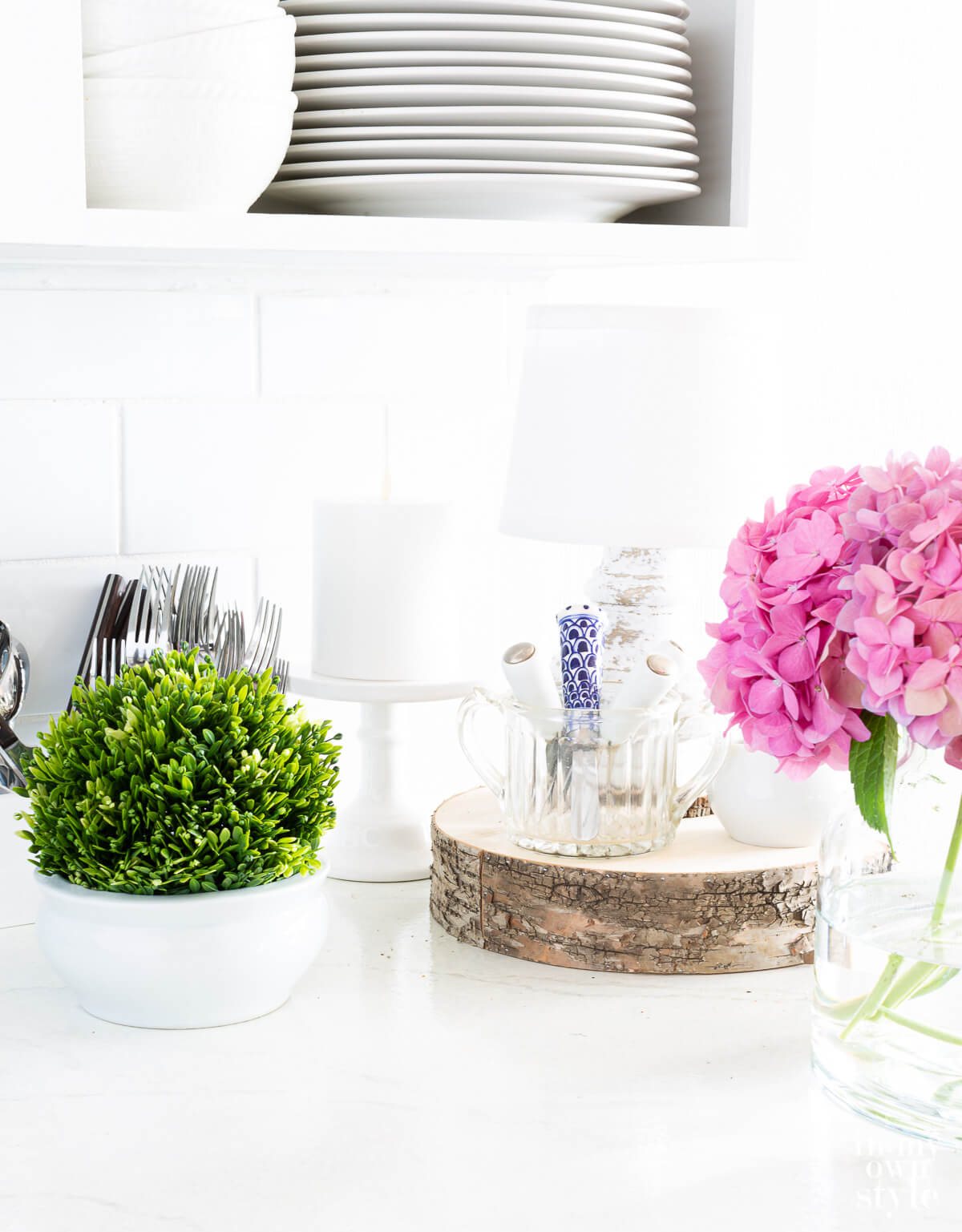 plant and flower on kitchen counter