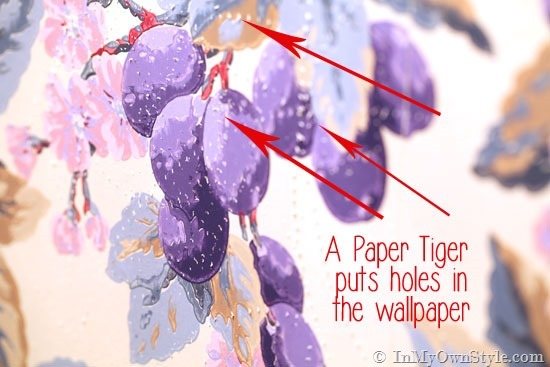 How-to-remove-wallpaper-with-a-Paper-Tiger
