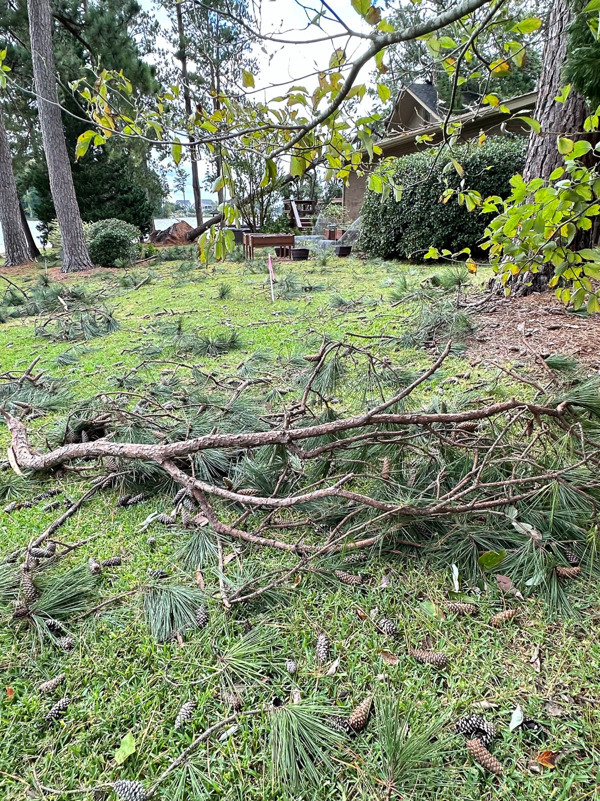 yard debris after Hurricane Helene blew through.