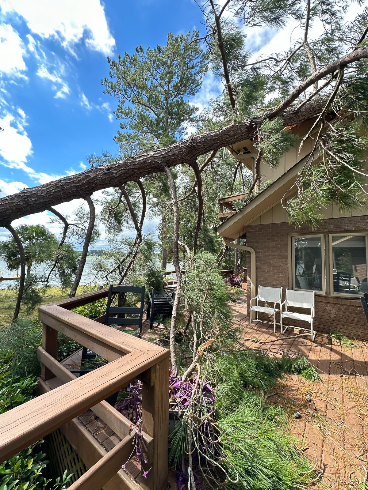 House damage after a tree falls down on it.