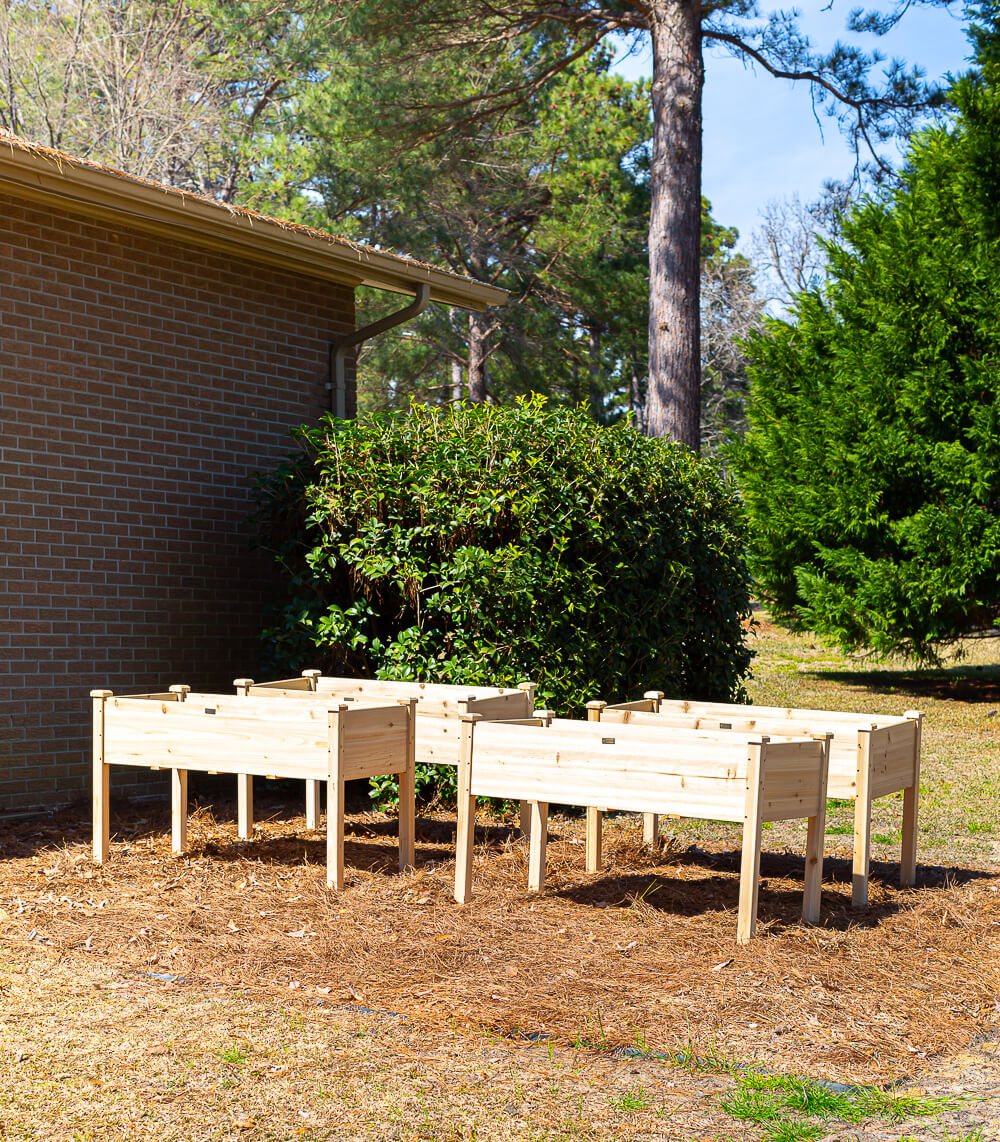 4 Elevated wood garden planters in yard on a bed of pine straw.