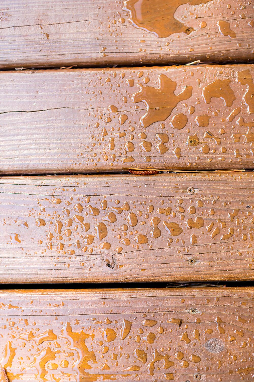 Water repelling on Behr Semi-Transparent Stain