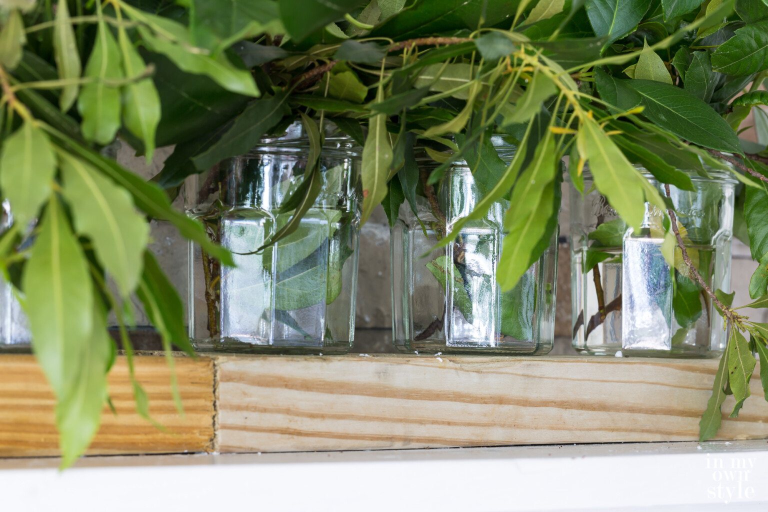 Close up of clippings from shrubs lined up in glass jars on a wood 2 x 6 on a mantel.