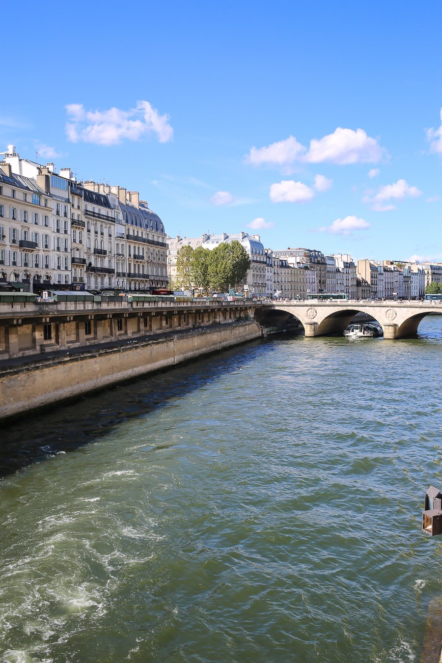 The Seine in Paris viewed from a Bridge near Notre Dame Cathedral in Paris