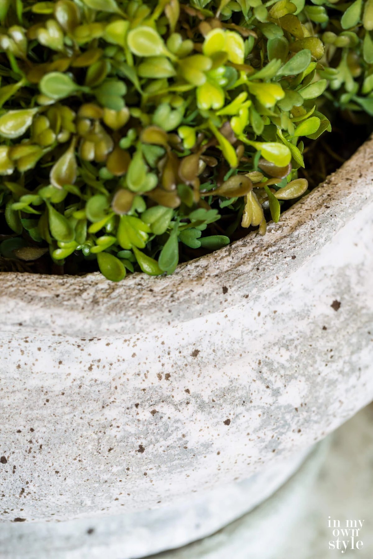 DIy Textured vase close up with greenery.