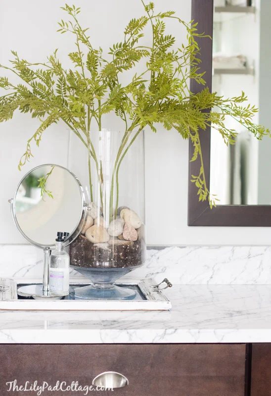 how to ideas to arrange indoor plants in glass vases