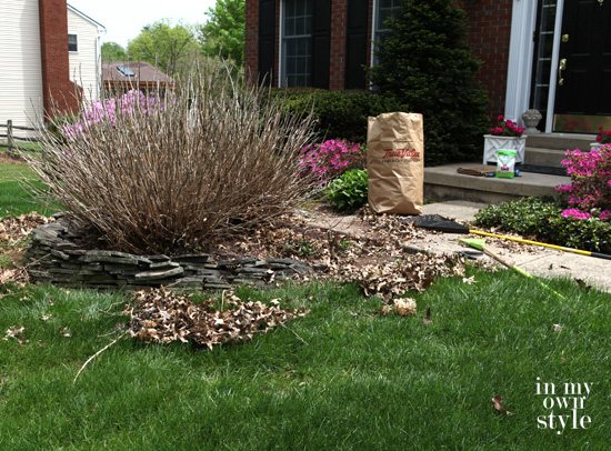 Changing-the-color-of-hydrangeas