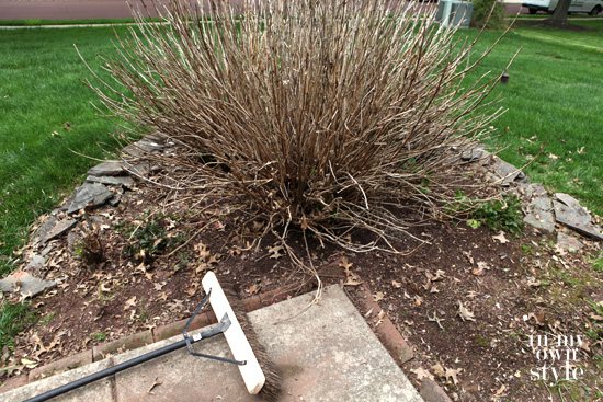 How-to-clean-up-flower-beds