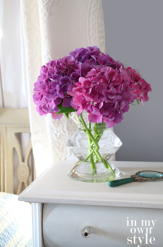 how to turn Hydrangeas Pink or Blue