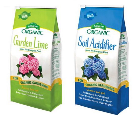 How-to-turn-hydrangea-flowers-pink-or-blue