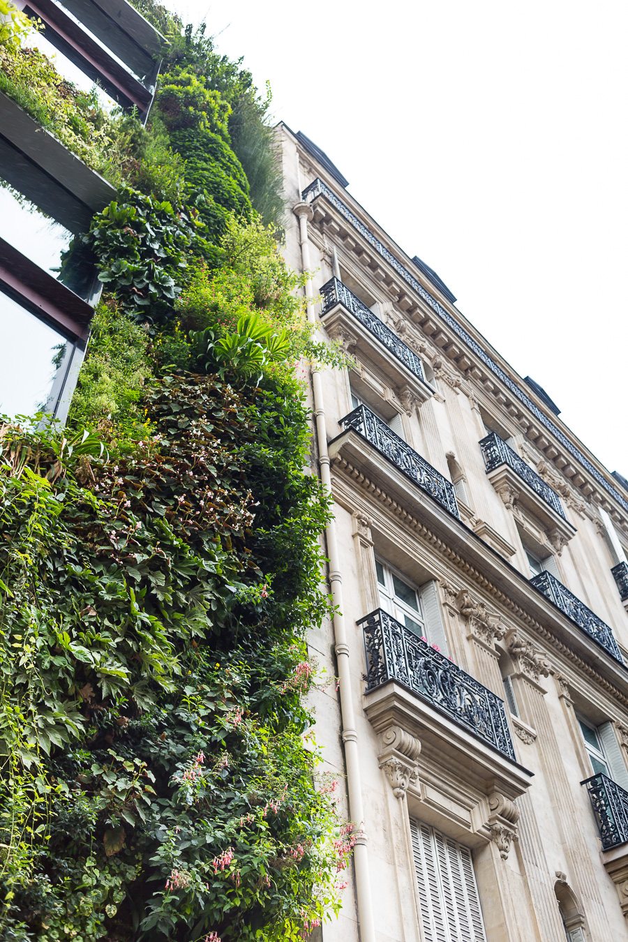 Facade of buildings in Paris