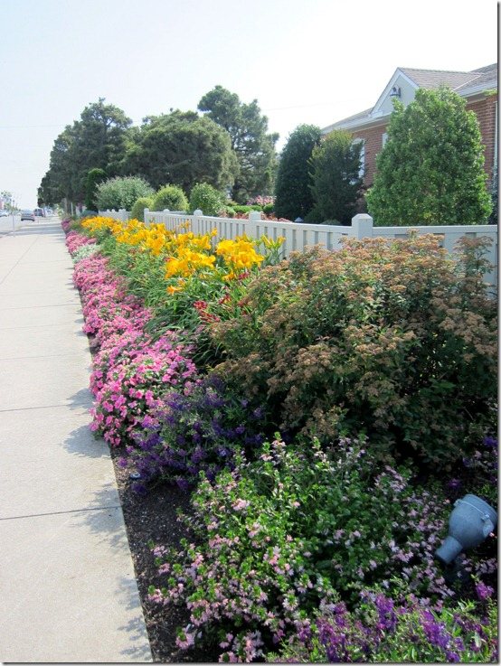 fence-flowers
