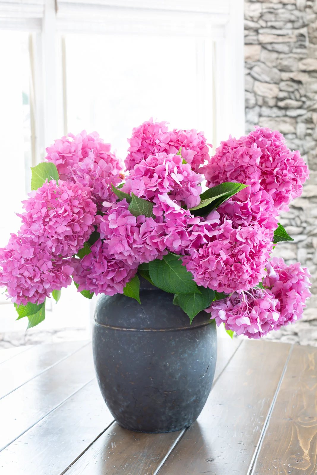 close up of pink hydrangeas in a black planter on a kitchen table