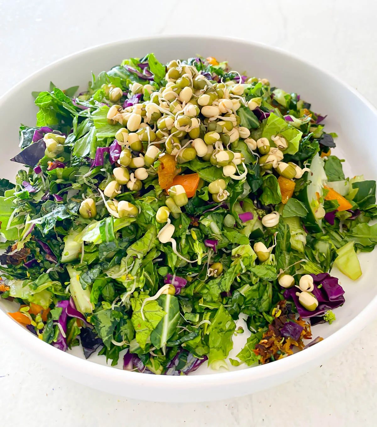 Salad and bean sprouts on white plate.