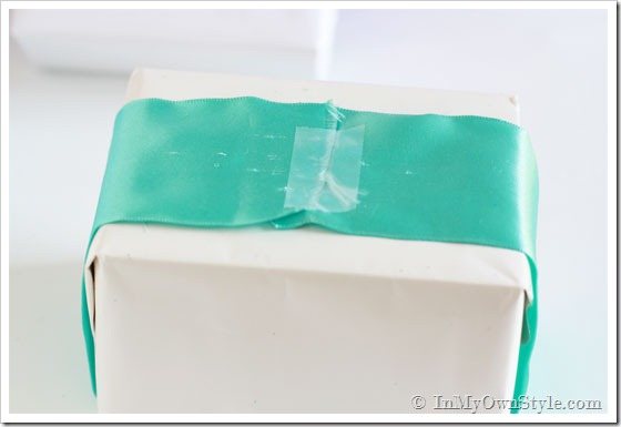 Wrapping-with-scraps-of-rib