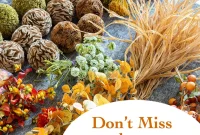 Fall Decor Reimagined