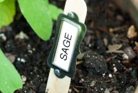 Artful Plant Labels
