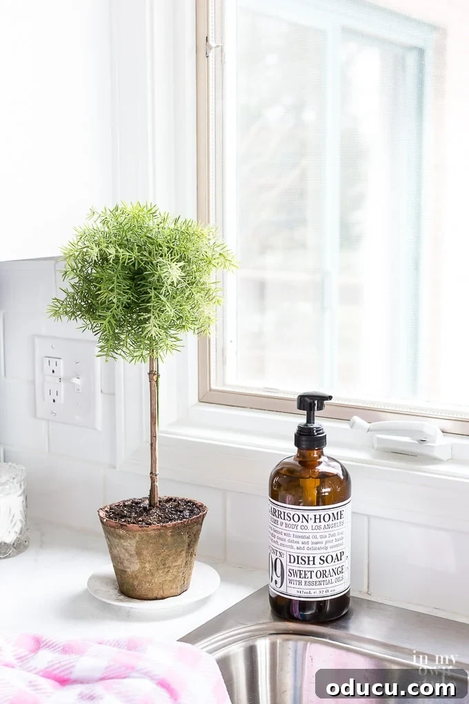 featured 42301