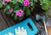 Transform Your Garden Planting Annuals with Fresh Soil