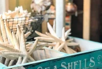 Panama City Beach Decor: Uncovering Coastal Gems