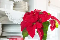 42 Quick Christmas Decorating Hacks for a Last-Minute Holiday Glow