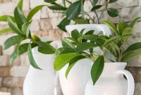 Curating Your Home Decor Capsule