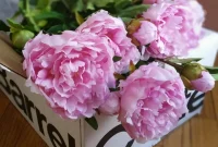 Mastering Faux Florals: Top 12 Decorating Secrets