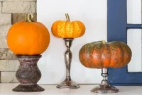 Elevate Your Pumpkin Decor