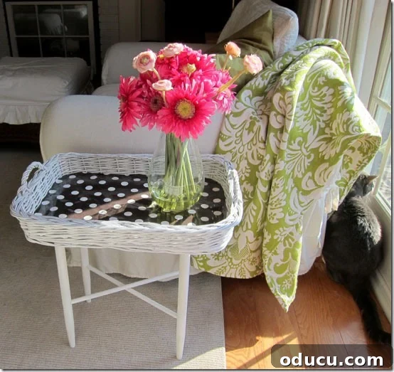 featured 6377