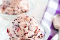 Pure Plant Bliss: Guiltless Dairy and Sugar-Free Dessert