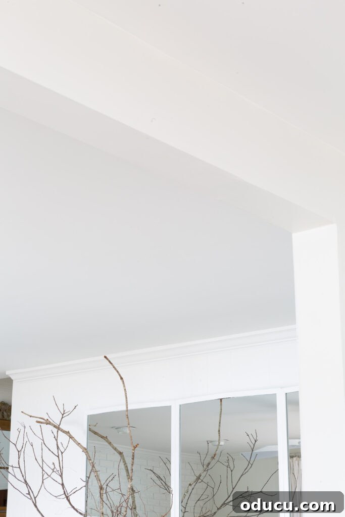 Our Ceiling Contractors Left Us Hanging 8 close up of newly white painted ceiling.