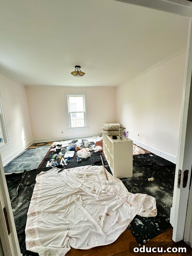 Living room showcasing the new SW Pinkish walls, creating a bright, open atmosphere.