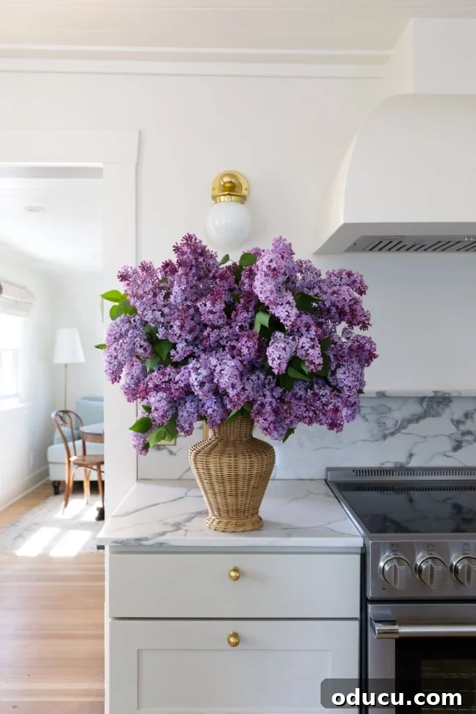 Style Chronicles 2 Fresh lilacs in a wicker vase on a kitchen counter, adding a touch of natural beauty to a home.