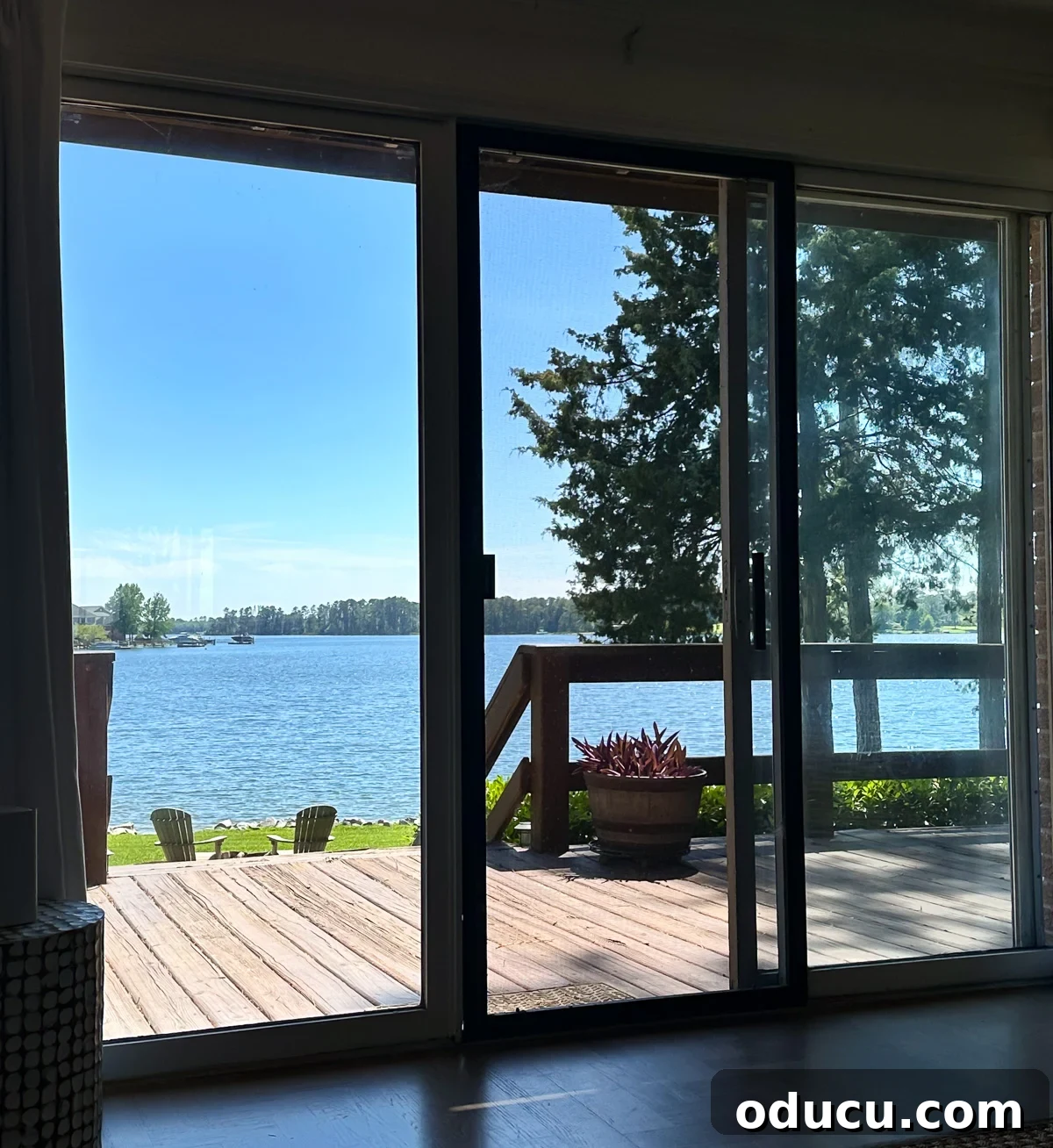 The stunning natural panorama observed through the sliding glass doors of my living room, serving as prime color inspiration.