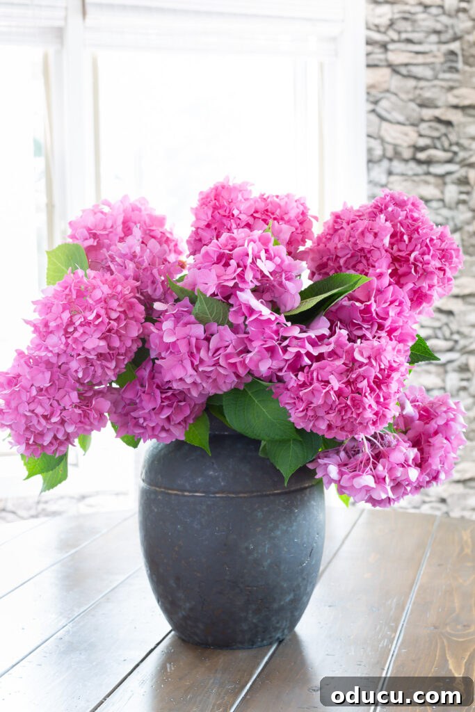 Unlocking Stunning Decor Inspiration For Free 16 Close-up of vibrant pink hydrangeas elegantly arranged in a black planter on a kitchen table, showcasing a stylish floral display