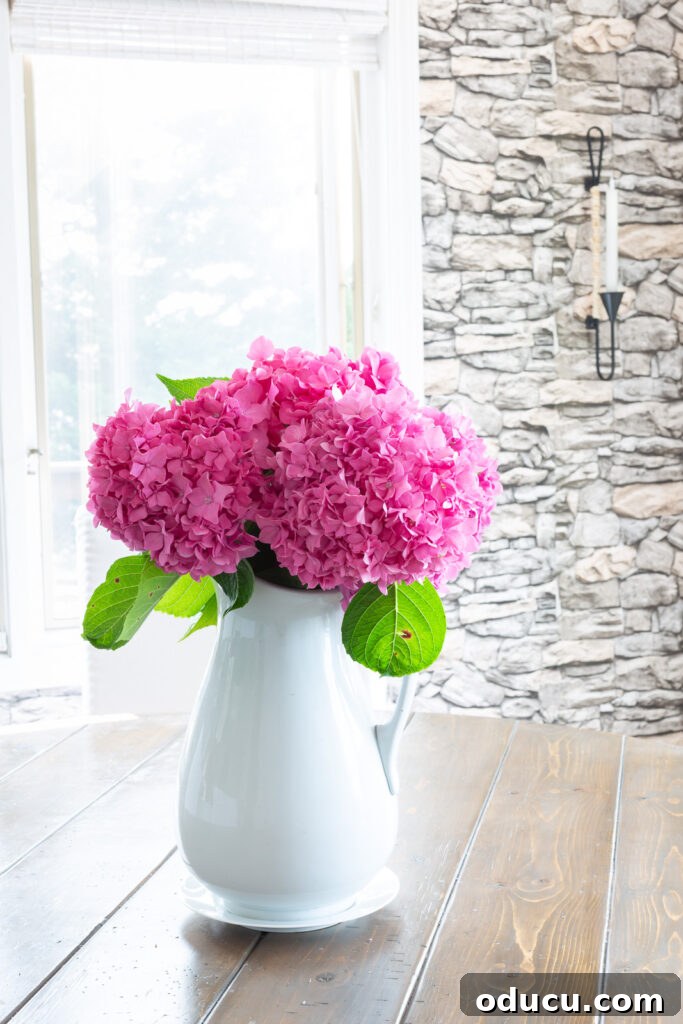 Unlocking Stunning Decor Inspiration For Free 7 pink hydrangeas in a white pitcher on a table, illustrating the initial floral arrangement before a change