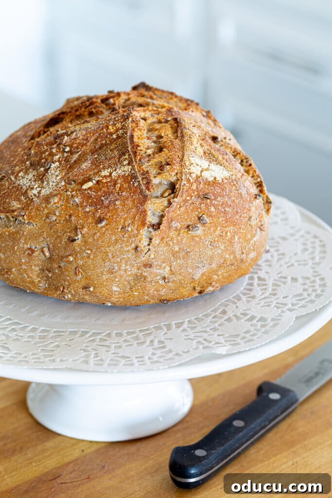 Fall's Full Sensory Home Crafting Your Cozy Autumn Haven 9 A beautifully baked loaf of sourdough bread displayed on a white cake stand, inviting enjoyment and contributing to a cozy, rustic kitchen aesthetic.