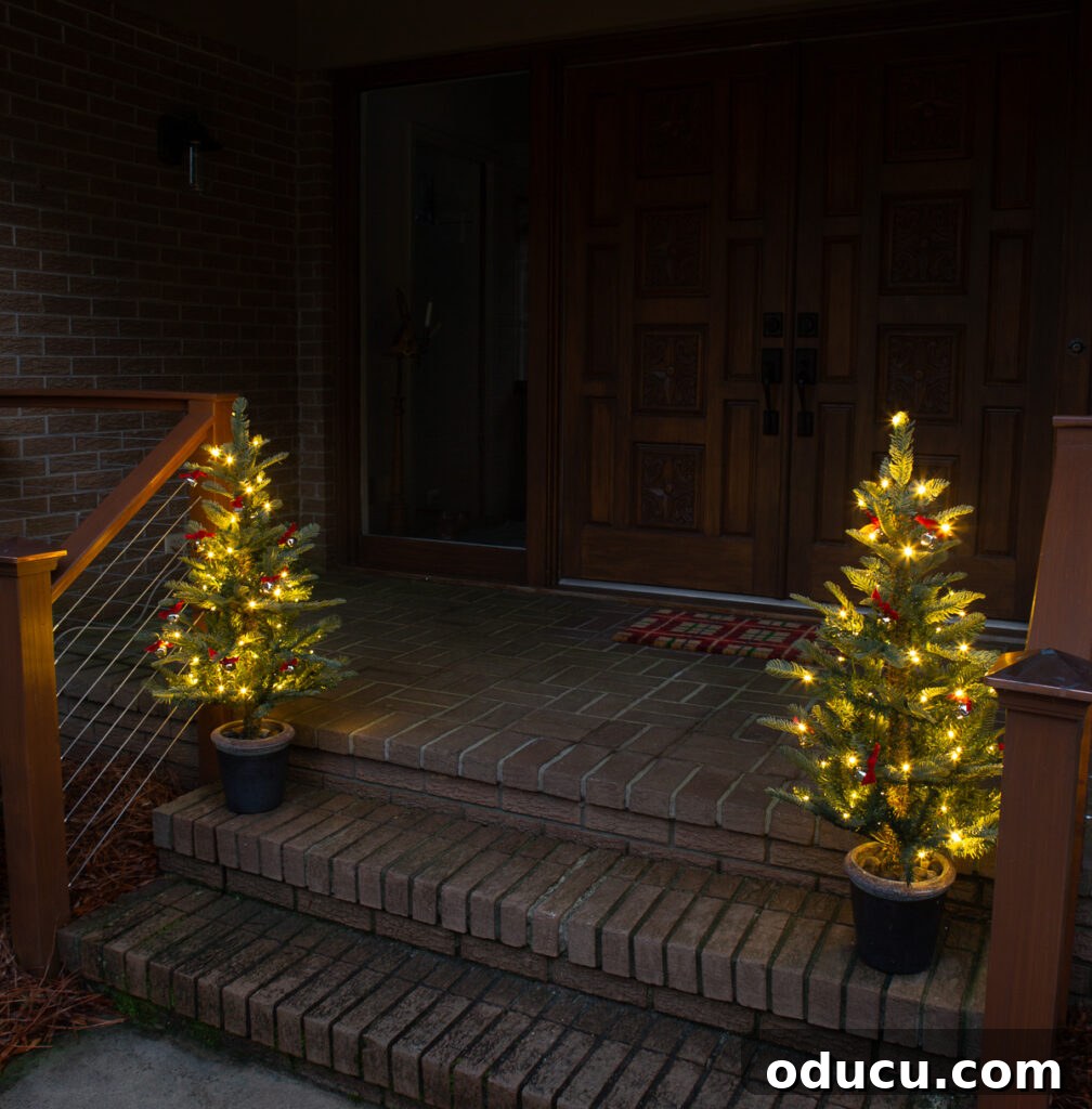 One King of Christmas Fir Set for Three Stunning Holiday Rooms 11 2 - 3 ft Christmas tree on front steps of a home at nighttime with lights aglow on trees.
