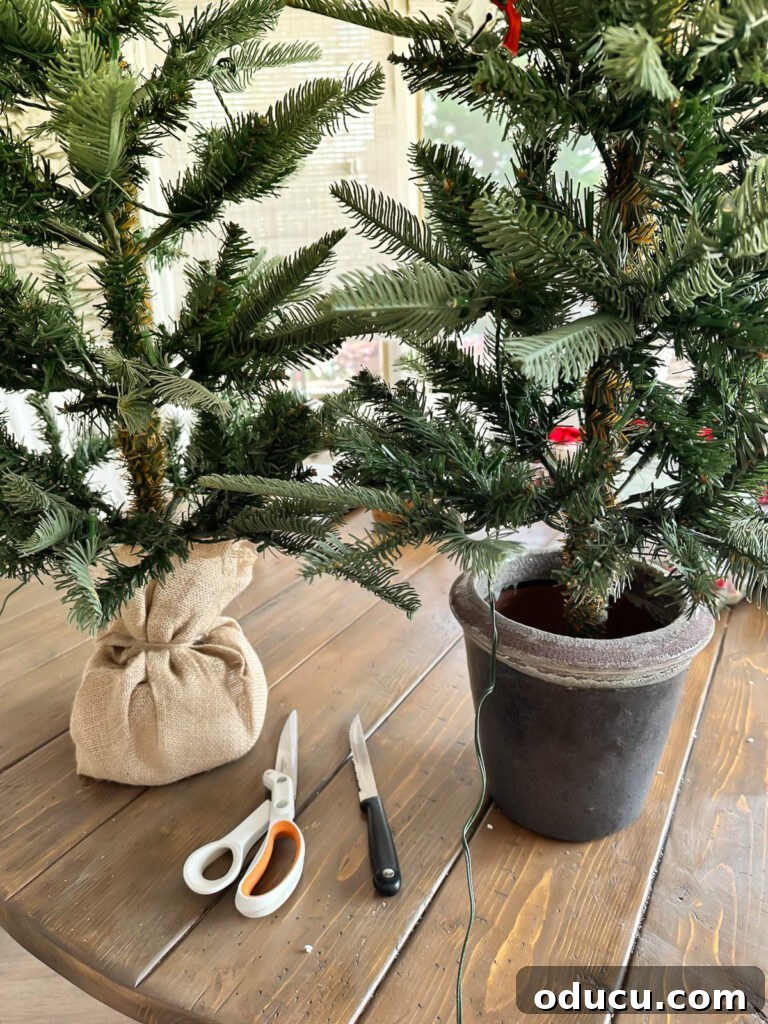 One King of Christmas Fir Set for Three Stunning Holiday Rooms 8 removing the burlap cover that comes on a 3 ft King of Christmas tree.
