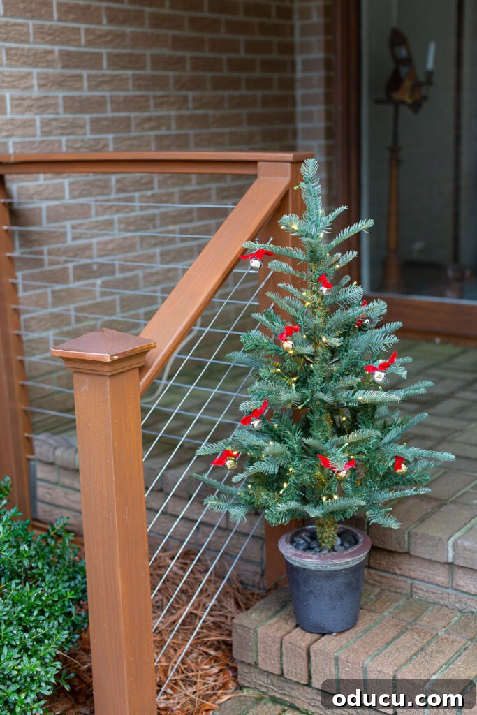 One King of Christmas Fir Set for Three Stunning Holiday Rooms 10 3 ft Christmas tree on front steps of a home