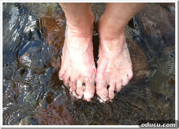 Cooling Feet Feet cooling in the Lehigh River after a long bike ride