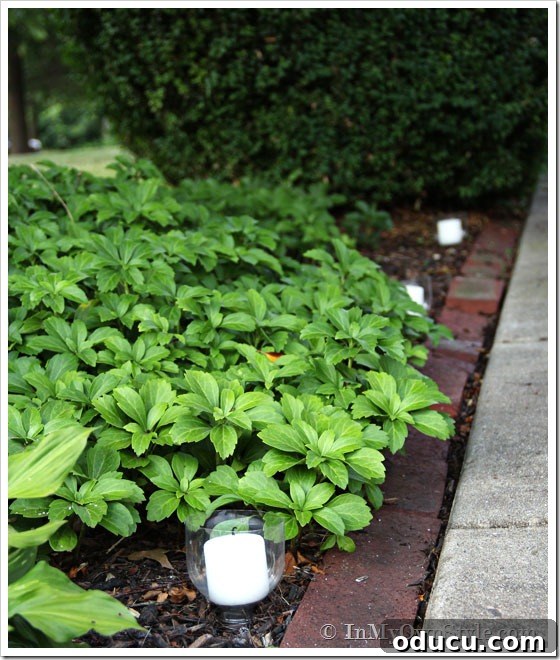 Step-by-Step Guide to Making a Plastic Bottle Candle Light