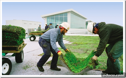 The impressive living green roof spanning the Ford Rouge plant.