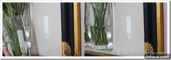 Vase on a wall How to hang a small vase on a wall.