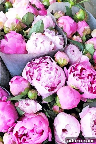 Unfolding Horizons 2 Vibrant watercolor painting of peonies, symbolizing renewal and beauty