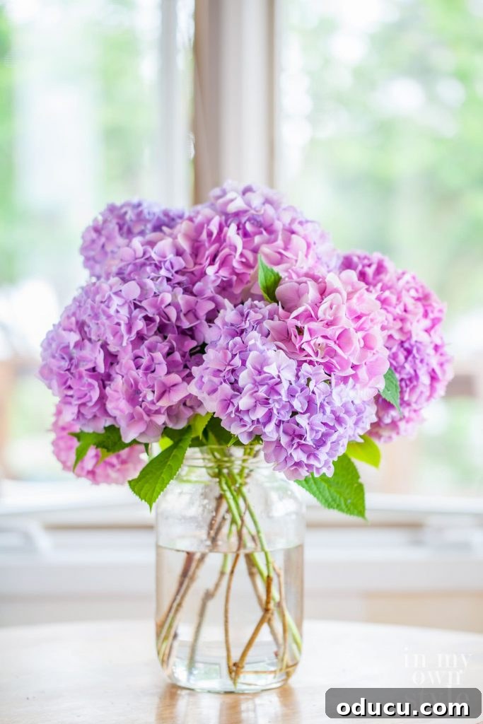 Thrifted Decorating Secrets Finding Your Home's Hidden Treasures 6 pink hydrangeas in a large pickle jar found at a thrift store